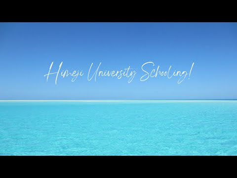 通信制大学で教員を目指すあなたへ
