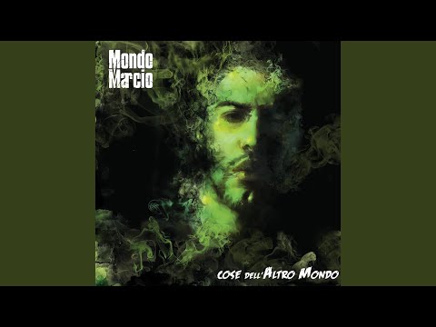 Finte verita' (Remix)