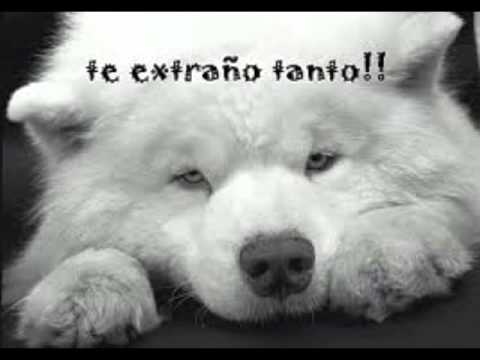 DORELA URBINA - EL PEOR DE LOS CAMINOS