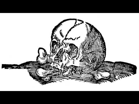 Voidcraeft - תַּחַת הַשָׁמֶשׁ (Under the Sun)