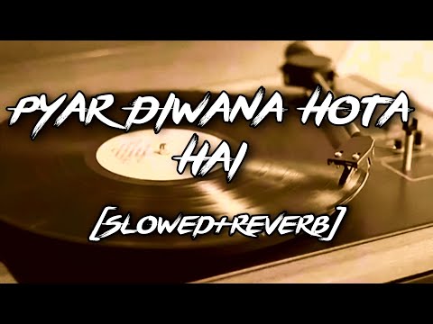 Pyar Deewana Hota Hai (Slowed+Reverb) Cover | Faizy Bunty & Moni Rendition Reverbae