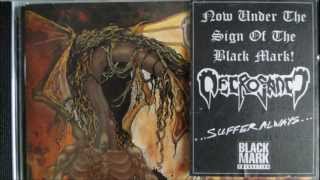 Necrosanct - Restless Dead