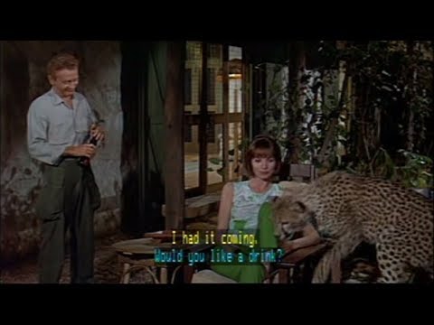 Hatari    Thank you, Sonya