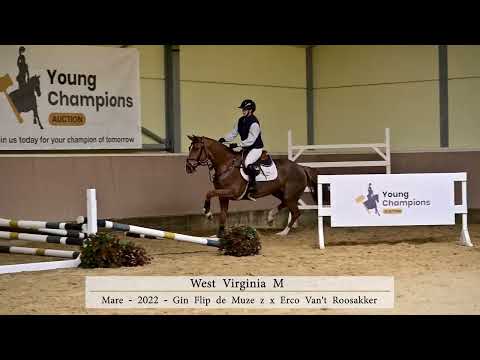 Under Saddle