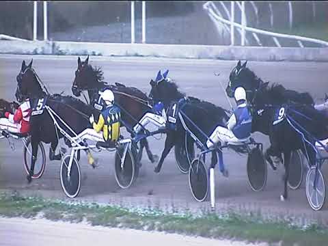 Trotto 26/10/2018 - 7ª corsa