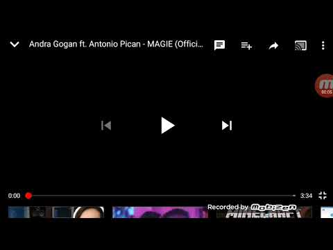 Reaxionez la Andra Gogan si Antonio Pican