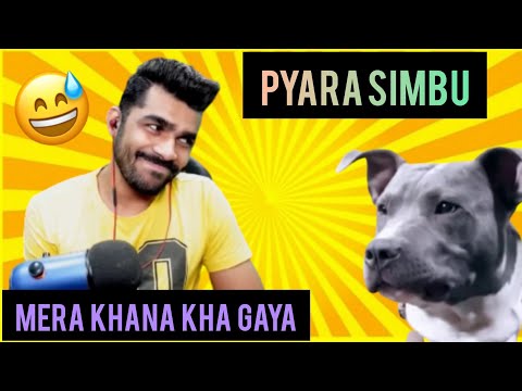 Shreeman legend talking about his dog ll Simba🐶🐶