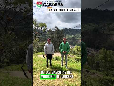 Inscripciones abiertas para ser parte de la Junta Defensora de Animales de Cabrera ~ JUNDEACA