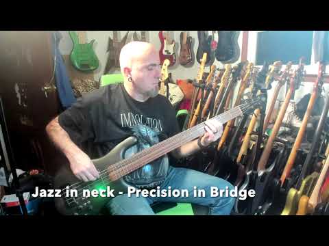 Sims Super Quad Bass Pickups Demo - Spector Forte 5