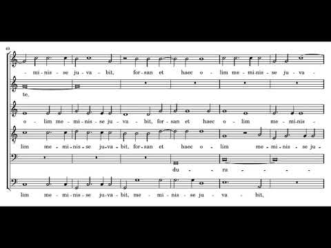 Willaert: O socii durate - De Labyrintho