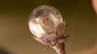 Wicked: For Good (2025) Video