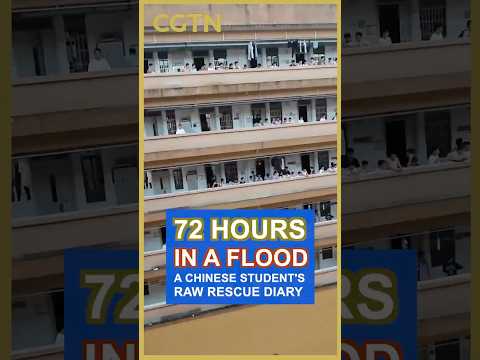 72 hours in a flood – A Chinese student's raw rescue diary