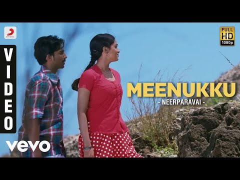 Neerparavai - Meenukku Video | N.R. Raghunanthan