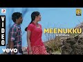 Neerparavai - Meenukku Video | N.R. Raghunanthan