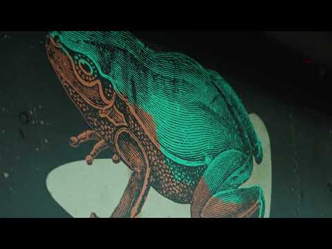 🏆 2021 Best in Class Awards | YOUNIQ Linked Living TrIIIple – Best Student Housing Design