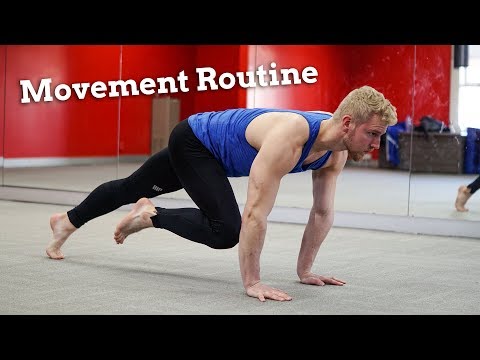 Effective Movement Routine  | CORE AND WHOLE BODY