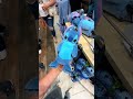 Lilo Stitch Collection At Disneyland Disney Disneyland Stitch Disneyland