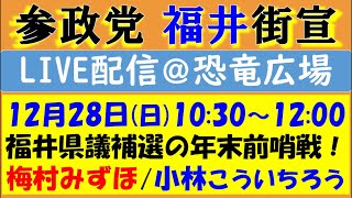 【参政党】梅村みずほ・小林こういちろう @福井駅西口（恐竜広場前）年末の街頭演説会！【12月28日(日)10:30〜12:00】