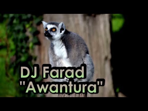 DJ Farad - Awantura