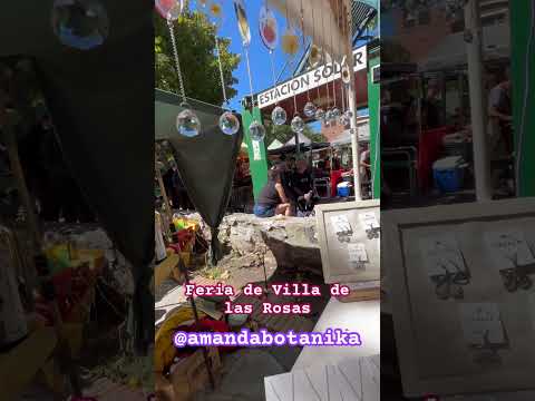 Flores que perduran PARA SIEMPRE! Feria ARTESANAL de Villa de las Rosas, Córdoba,Argentina
