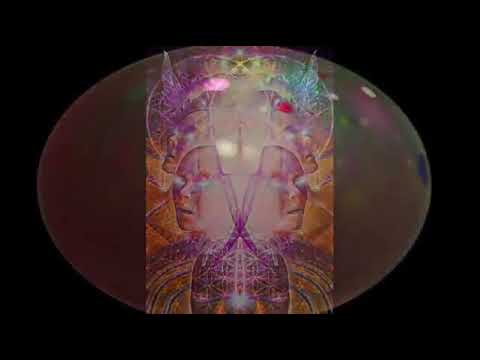 The Five Levels of the Psychedelic Experience