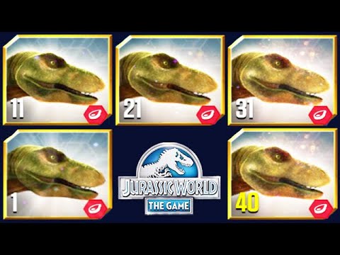 NEW JUNIOR MAX LEVEL 40 FEEDING (JURASSIC WORLD THE GAME)