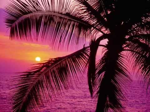 SaoLVP ft. Young gatt- Thug in my life