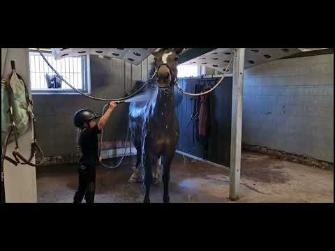 Pointed Star hanteras av Thilde 6,5 år 💞