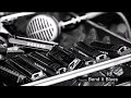 Living Country Blues Bowling Green John Harmonica Phil Wiggins