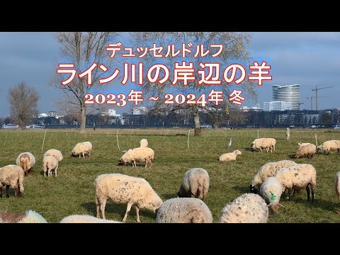 スウェイツ氏:「最後の審判の氷河」もドイツを脅かす