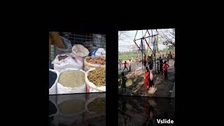 ব্রহ্মগাছা বাজার এর বিখ্যাত গ্রাম্য মেলা।