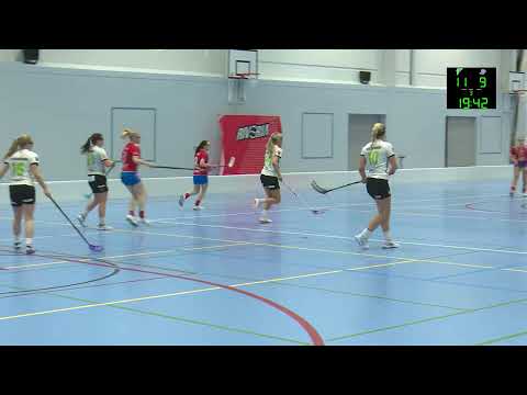 T18 SM -  FB FACTOR vs. SPV