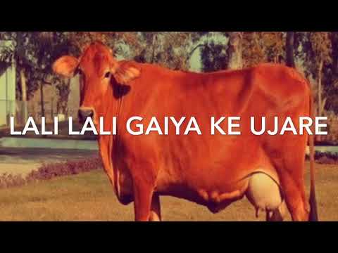 Ashneel singh lokgeet lali lali gaiya