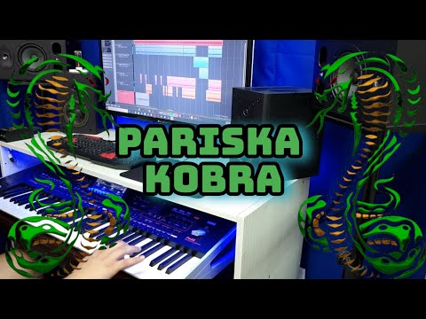 PARISKA KOBRA-KORG PA4X (STUDIO DALAS)