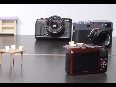 The Mirrorless Party