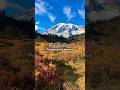 Fall activities 📍Portland #portland #oregon #portlandoregon #mtrainier #fallactivities #fallfoliage