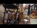 How To Run On Threadmill By Sitting On Chair Very Funny