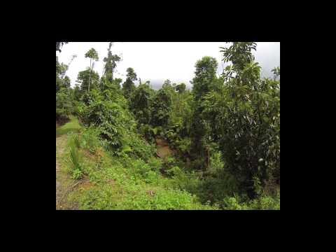 Wild Life in Queensland!!