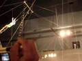Circus Circus