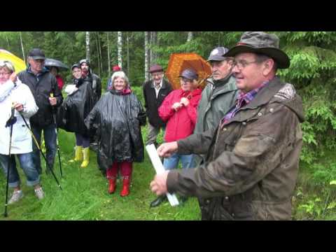 Naturvandring på Morgans stig. Borra älv. Gräsmark