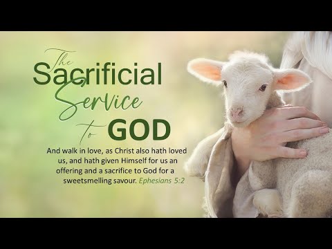 A Believers Call: Moving Toward Maturity - 1Timothy 1:1-20 - Pastor Welven