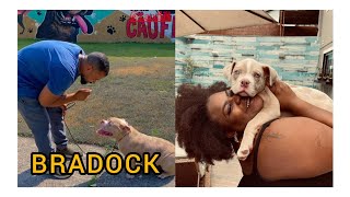 Cachorro da Jojo Todynho emagrece com dieta,treino e passeios educativos