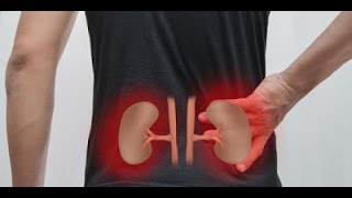 Sanjeevani Tips | Keep Your Kidneys Healthy | DOWNLOAD THIS VIDEO IN MP3, M4A, WEBM, MP4, 3GP ETC