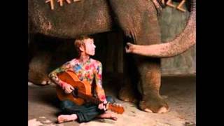 Trevor Hall- To Zion (the elephant&#39;s door)