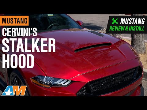 2018-2020 Mustang Cervini's Stalker Hood; Unpainted Review & Install