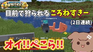 【#ホロ金策サバイバル2】ころねすきーに会いに行くも2日連続目前でぺこらに狩られる戌神ころね【戌神ころね/兎田ぺこら/切り抜き/Minecraft】