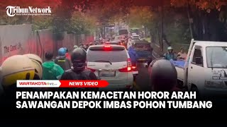 Download lagu Penampakan Kemacetan Horor Arah Sawangan Depok Imbas Pohon Besar Tumbang di Jalan Muchtar mp3