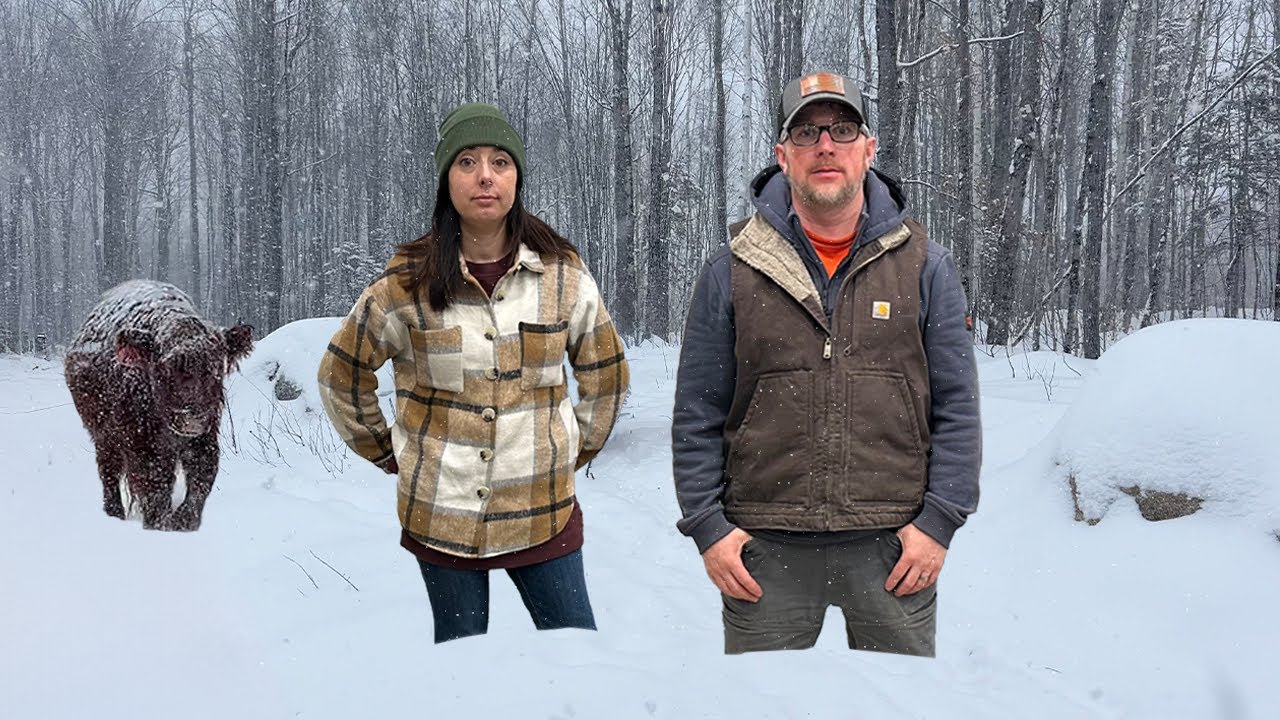 A Foot of Snow, Rain & Wind! Digging Out & Making Progress on the Walk-In Cooler