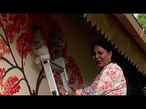 The summer she painted the Gulmohar