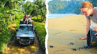 48 Hours in EAST JAVA: Jeep Through the Jungle & Baby Turtles